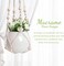 3-Pack Macramé Plant Hangers – Indoor Hanging Planter Baskets with Wood Beads, Decorative Flower Pot Holders, Ivory White (Pots Not Included)